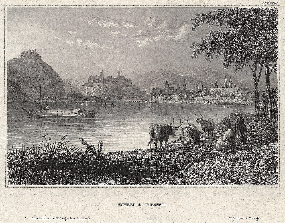 Vintage gravyr av Ofen och Pesth stadsbild Vintage gravyr av Ofen och Pesth som visar flod, båtar, historiska byggnader, boskap och människor vid flodstranden