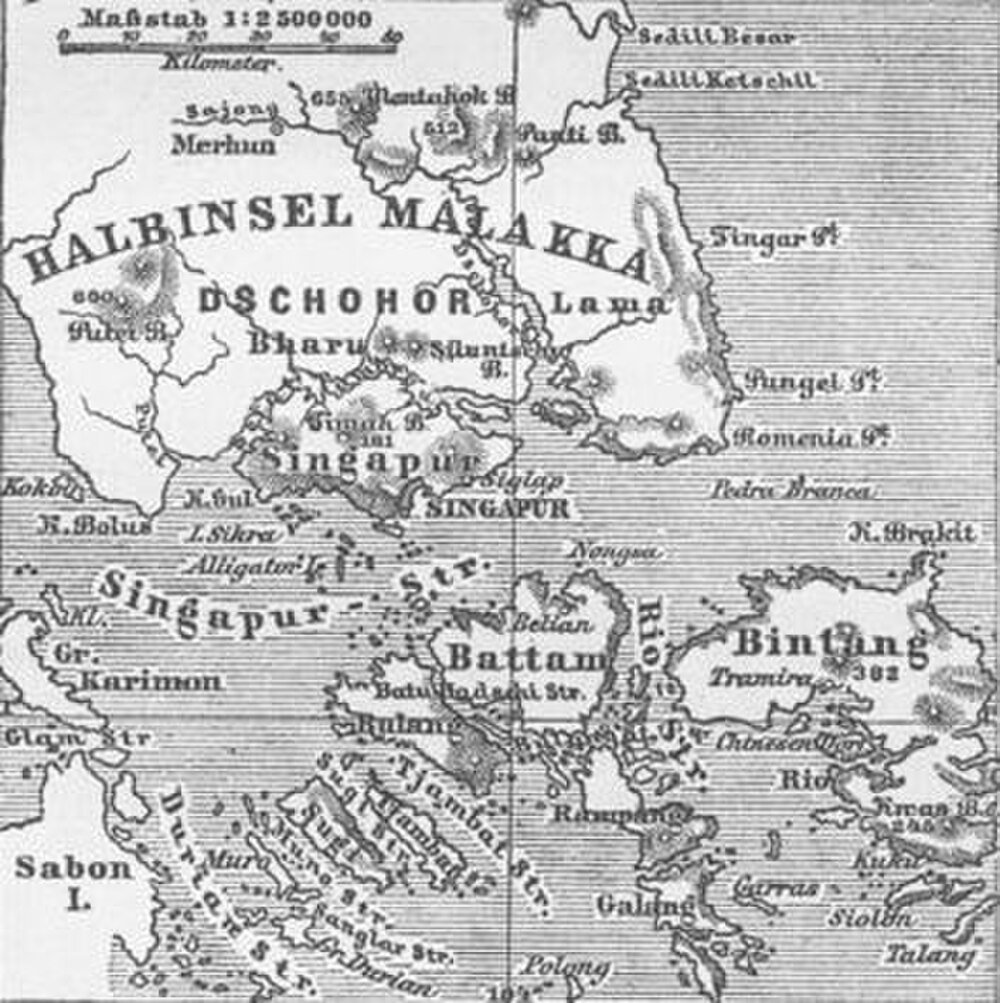 Vintagekarta över Malackahalvön, Singapore-sundet och omgivande öar inklusive Batam och Bintan med historiska platsnamn