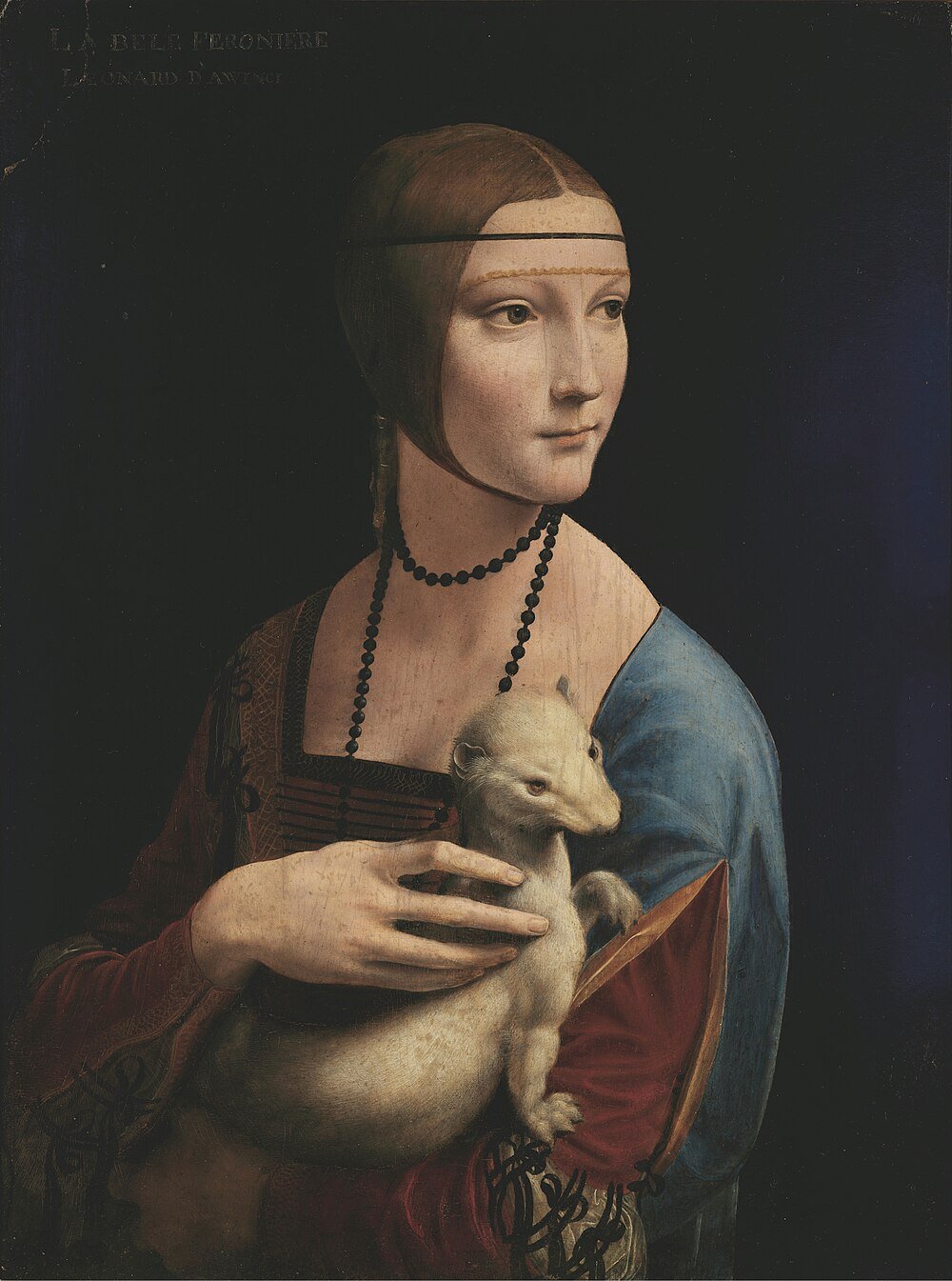 Lady with an Ermine av Leonardo da Vinci Porträtt av en kvinna som håller en vit hermelin, renässansmålning av Leonardo da Vinci, känd som Lady with an Ermine