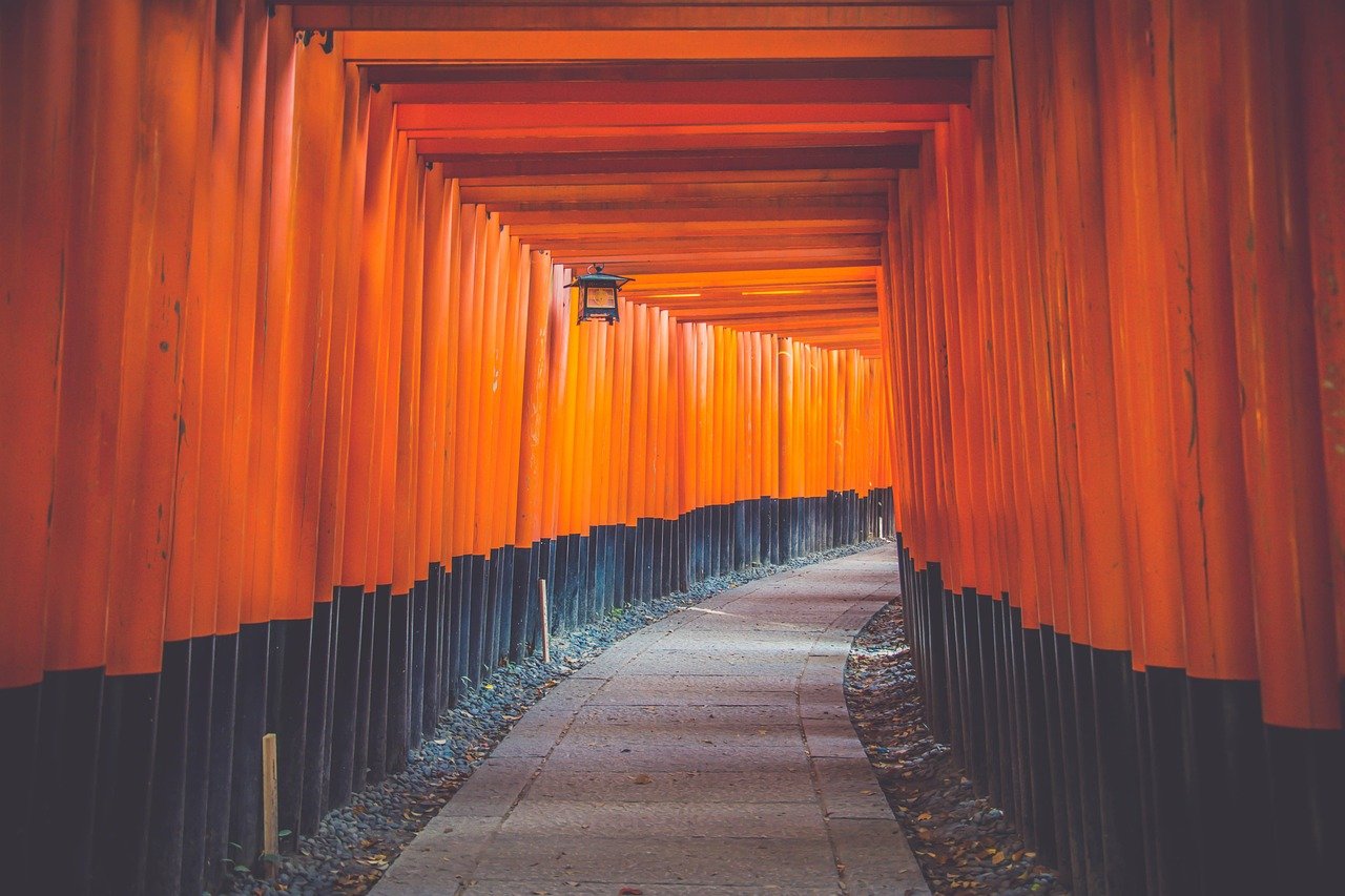 Väg genom traditionella japanska torii-portar målade i orange och svart vid Fushimi Inari-helgedomen i Kyoto