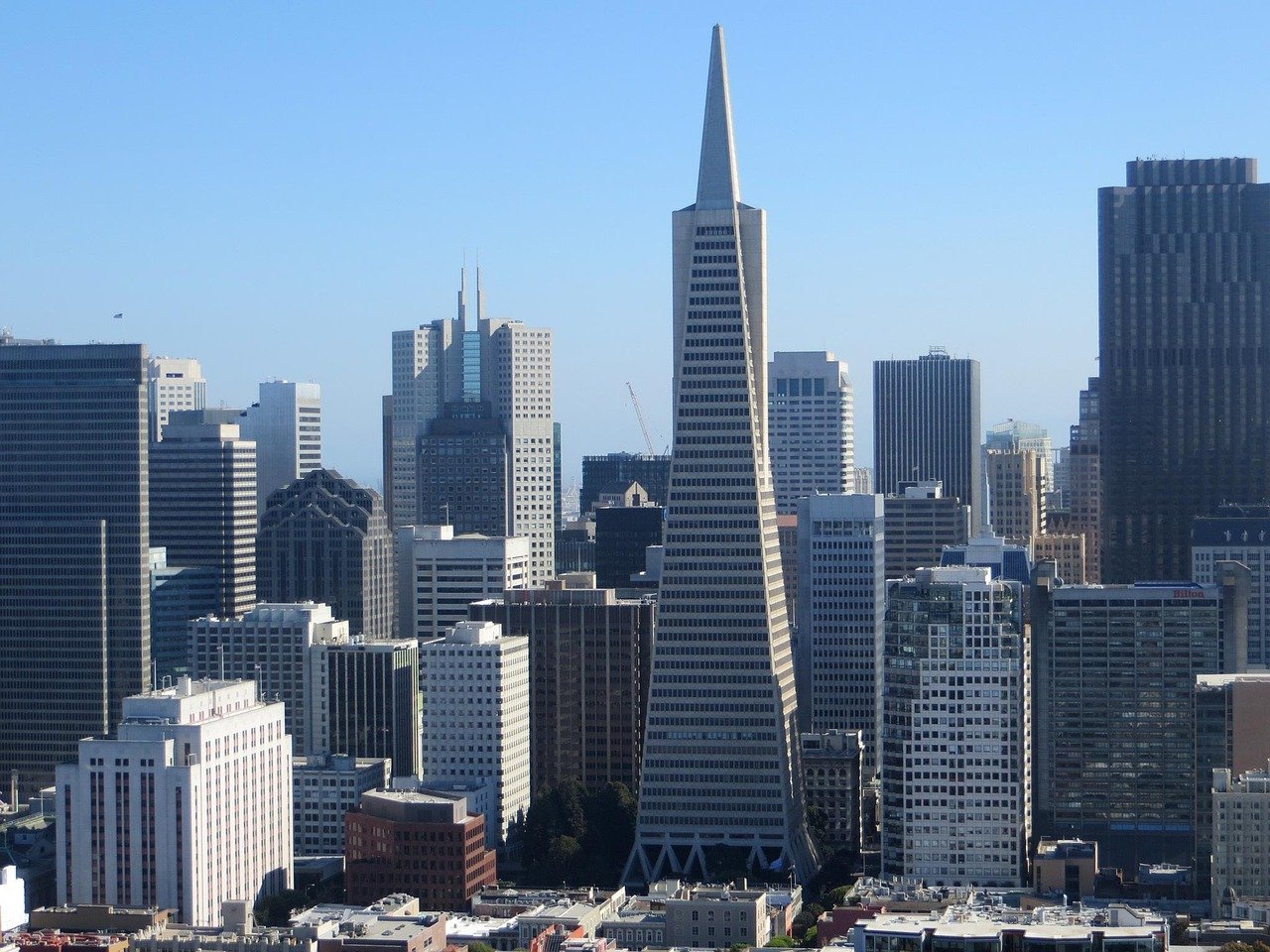 San Franciscos skyline med den ikoniska Transamerica Pyramid och omgivande moderna skyskrapor under en klarblå himmel