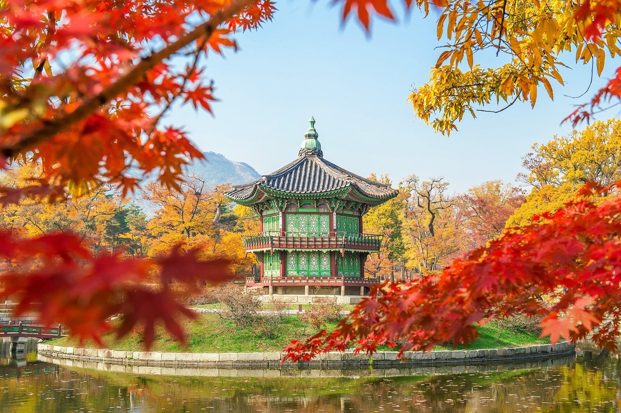 Traditionell koreansk paviljong omgiven av höstlövverk med livfulla röda och gula löv nära en lugn damm