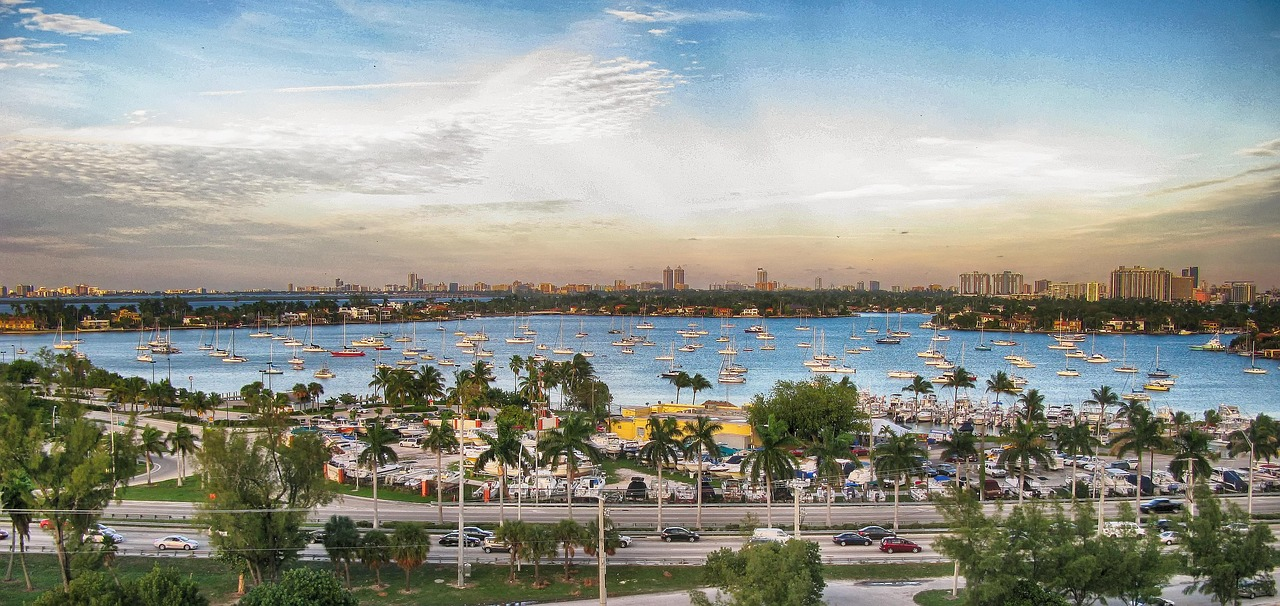 Miami marina med segelbåtar och stadssilhuett Scenisk vy över Miami marina med många segelbåtar, palmer och stadssilhuett under en delvis molnig himmel